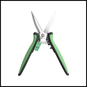 Pruning Scissors