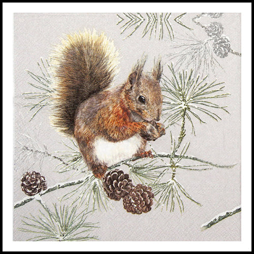 Squirrel in Winter Cocktail Napkin 20pk