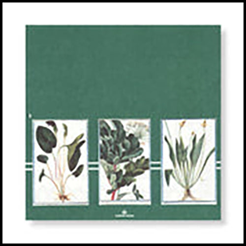 Manor Road Verde Cocktail Napkins 20Pk