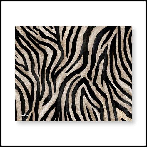 Manor Road Zebra Placemats 30PK