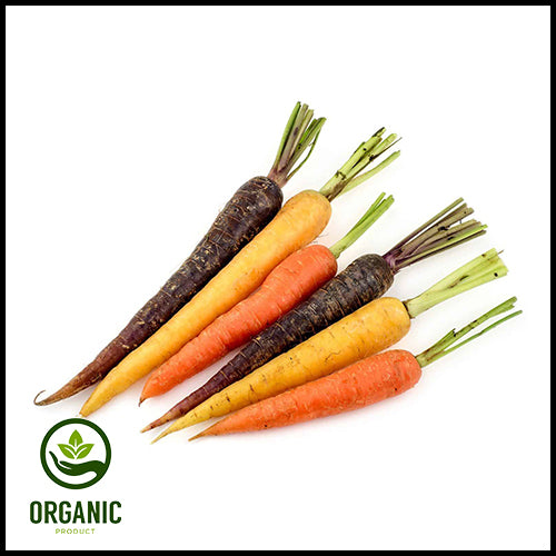 Carrots Rainbow Bunched (organic) 6-7ct