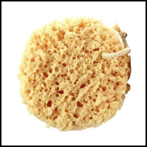 Sea Foam Sponge