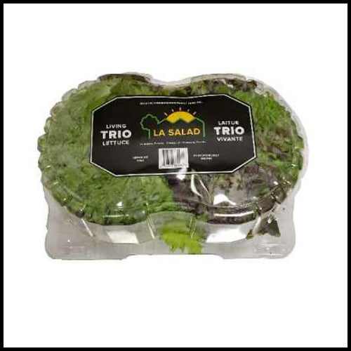 Lettuce Trio Hydroponic Clamshell