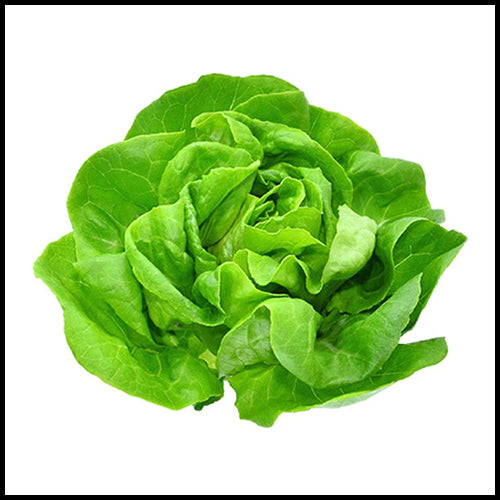 Lettuce Boston Clamshell