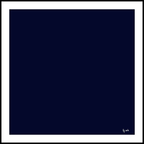 7163 - DP Navy w/White Border