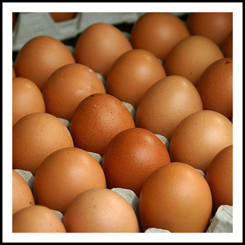 Fresh Brown Eggs x 12