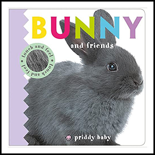 Bunny & Friends Touch and Feel Book