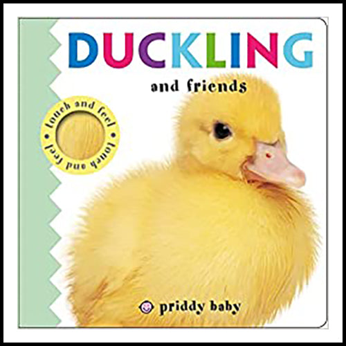 Duckling & Friends Touch and Feel Book