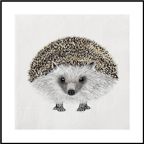 Hedgehog Lunch Napkins 20 Pk