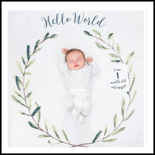 Babys First Year Set - Hello World Wreath