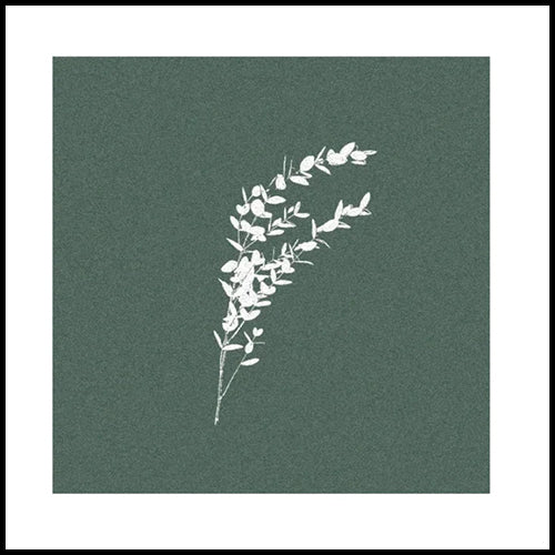 Paviot Eucalyptus Cinera Dinner Napkin