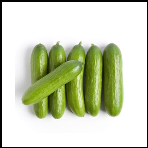 Cucumbers Mini Seedless 6pk