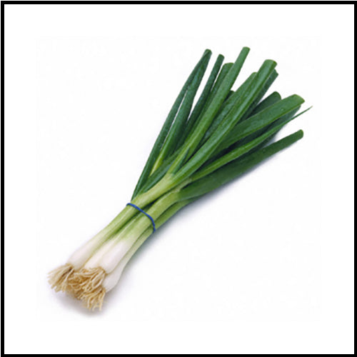 Onions Green bunch