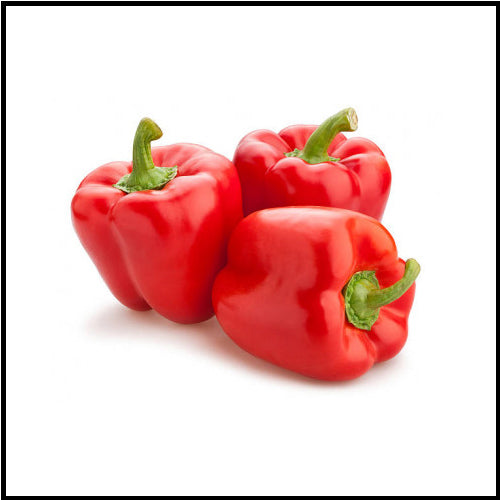 Peppers Round Bell Red ea