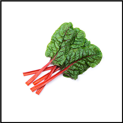 Swiss Chard Red bunch