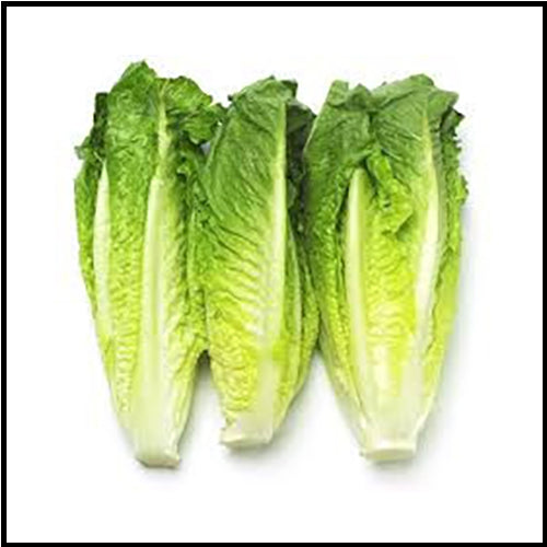 Lettuce Romaine Hearts 3pk