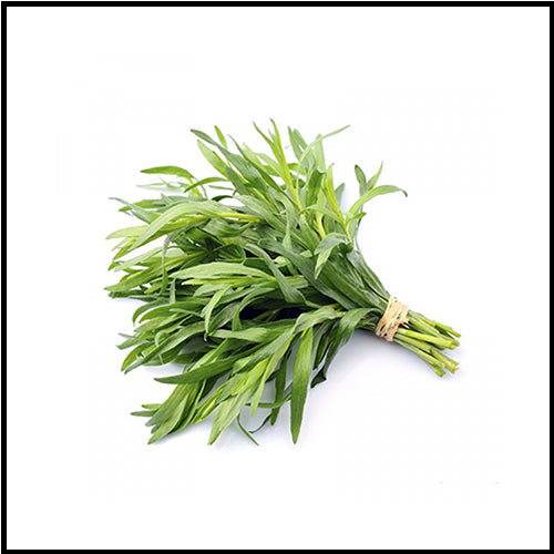 Herbs Tarragon bunch