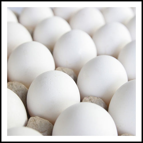 Fresh White Eggs x 12